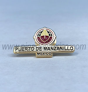 Pin de Moneda