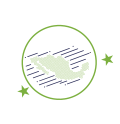 pins de mexico